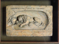 Rare Framed Vintage Lion of Lucerne Sculpture Replica $150