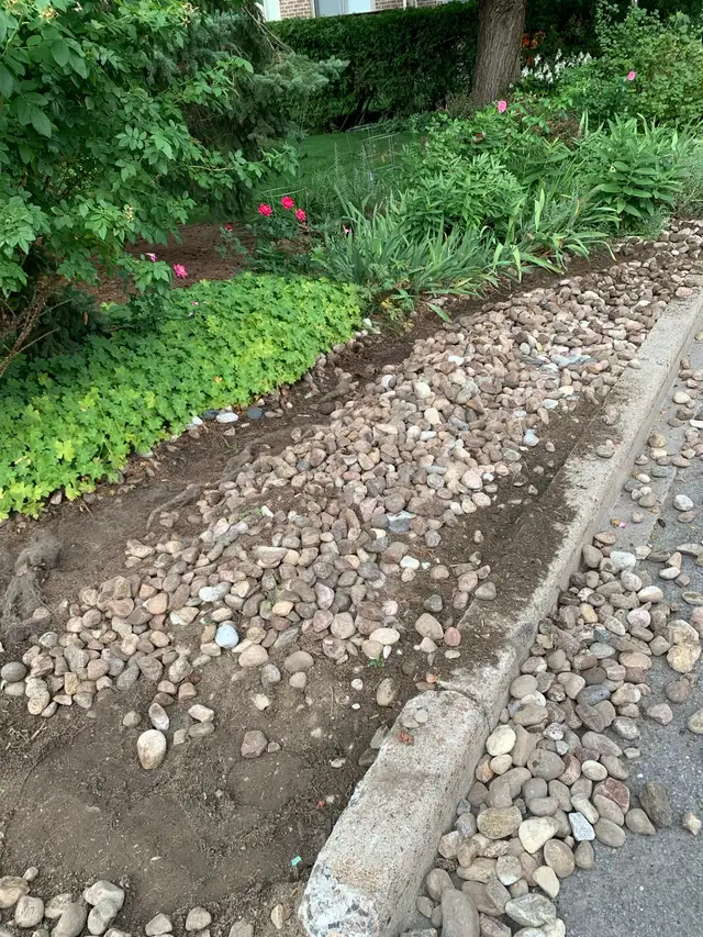 Reliable Landscaping561546768742492161