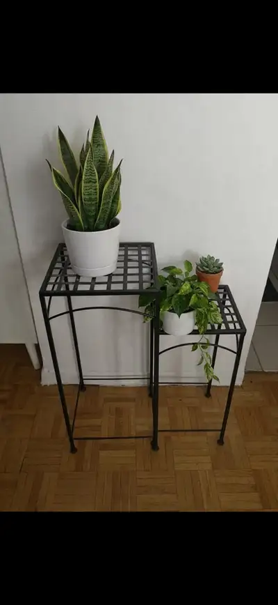 Selling a set of brand new never used metal plant stands, very sturdy and heavy duty! Dimensions: •...