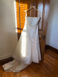 Breathtaking Plus Size Wedding Dress with veil, shawl and corset