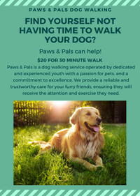 Dog Walkers in the Acadia Area