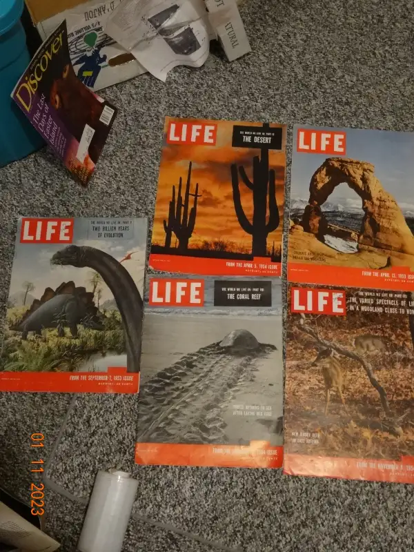 LIFE magazines,  groups  of dates, back to 50s, Nixon,t .t.baby in Magazines in Kelowna - Image 7