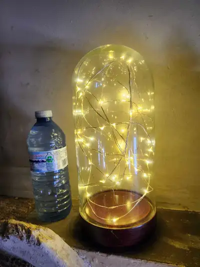 Glass Cloche with Fairy Lights, View more
