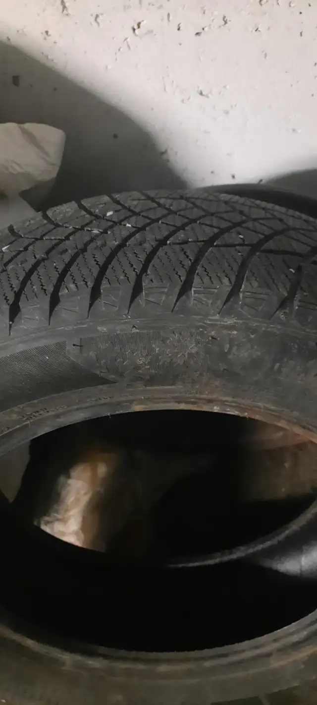 Winter tires + 4 rims in Tires & Rims in Ottawa - Image 3