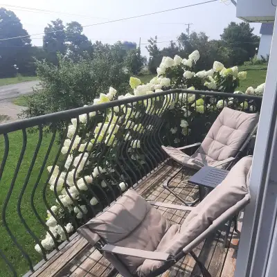 Chalet on the Ridge (Crabbe Mountain area), View more