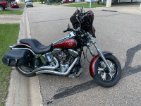 2002 Harley Davidson softail deuce 