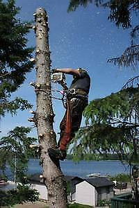 Tree Cutting and Removal $ TREERIFIC PRICES! $Save 780-288-0467