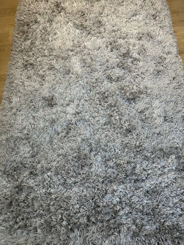 Grey Shaggy Area Rug in Rugs, Carpets & Runners in Ottawa - Image 4