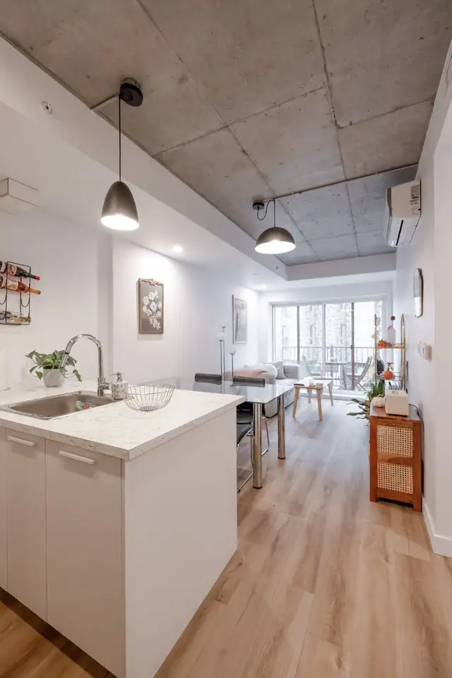 4 1/2  Internet inclus | Thermopompe | Toit-terrasse