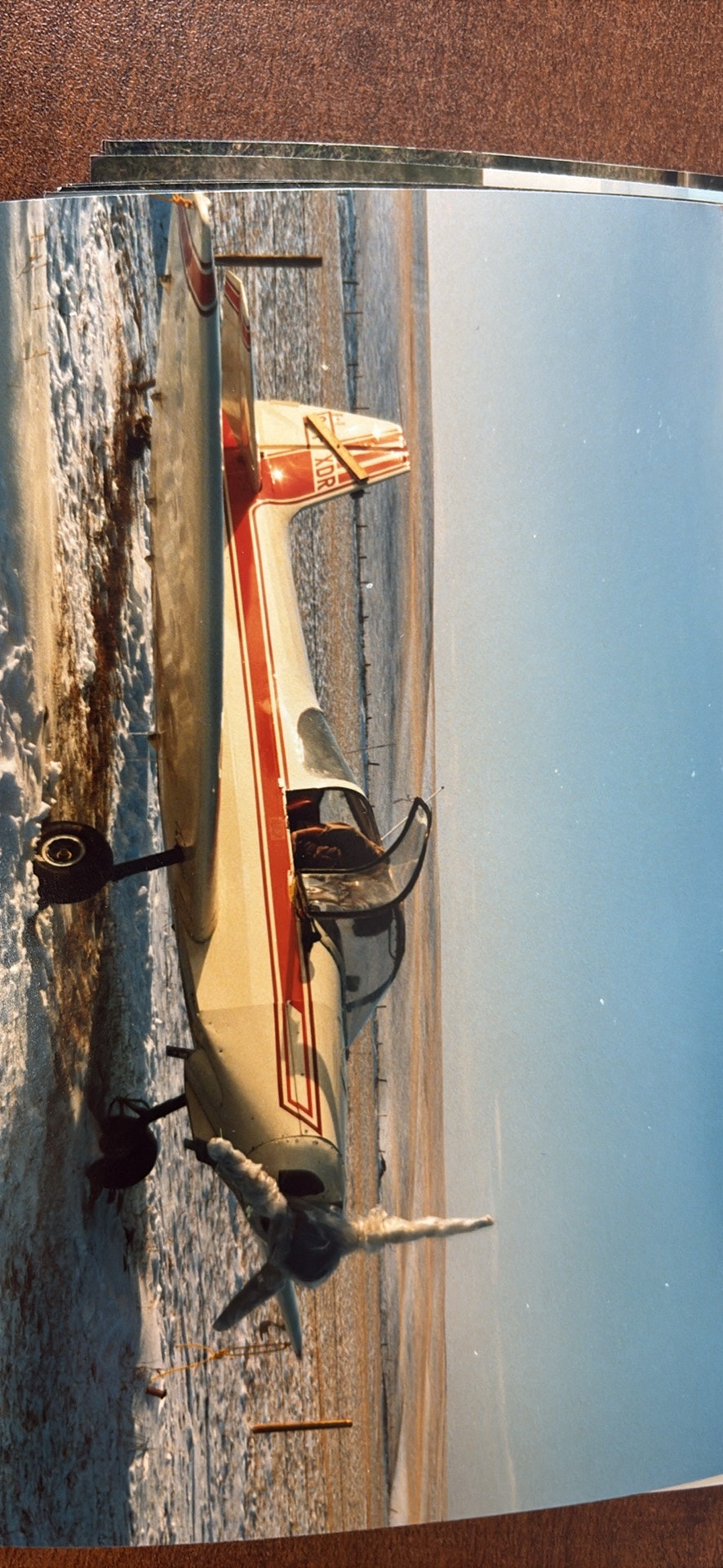 Piel Emeraude, photo 1