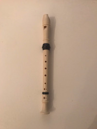 Recorder musical instrument / flute à bec 