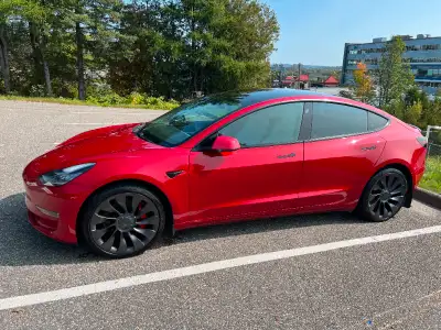 2021 Tesla Model 3 Performance AWD - Rouge