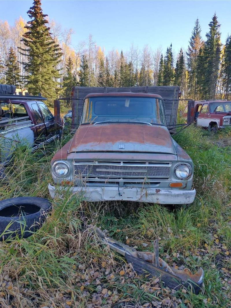 1965 international1 ton Cars & Trucks Red Deer Kijiji
