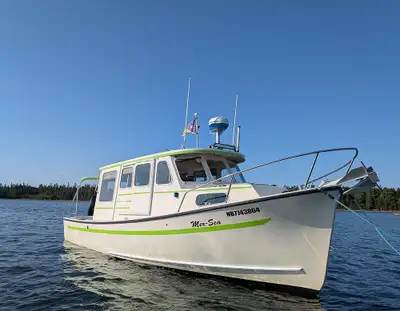 This 1995 Rosborough RF-246 is in excellent condition. Comes complete with LOAD-RITE trailer, tender...