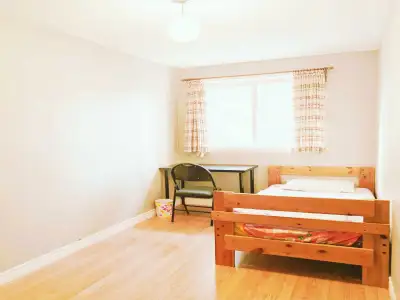 Girl  Sunny Single Room for Rent
