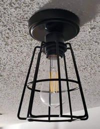 x2 semi flush metal cage ceiling lights