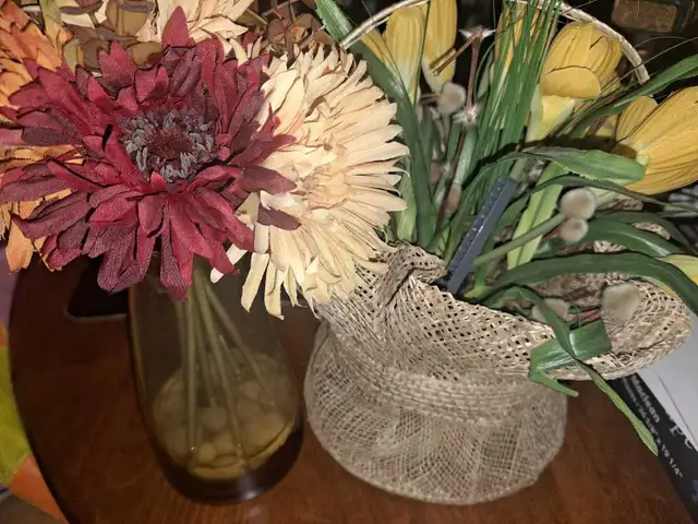 Two Flowers in Other in Calgary - Image 3