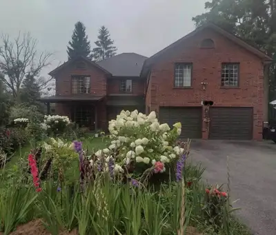 Room for Male Student Available - Near UTSC & Centennial College