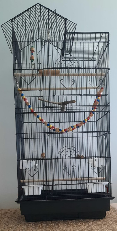 Cage d’oiseaux dans Accessoires  à Ville de Montréal - Image 2