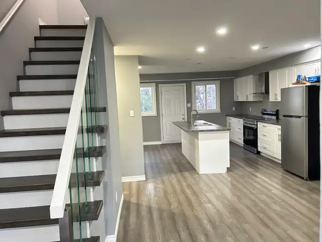 Professional Cleaning Services586009581915351045