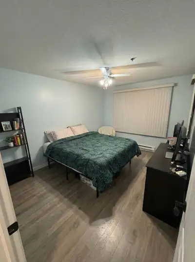 Private Bedroom with Private Bathroom in a Quiet Professional Home A spacious private bedroom with i...
