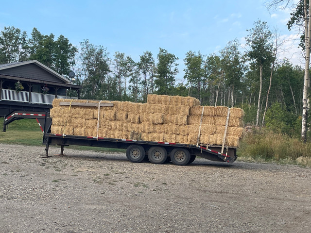 Wheat straw.  Few barley bales left  in Livestock in Fort St. John