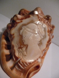 Vintage CAMEO CONCH SHELL Hand Carved  Pretty Lady 4 3/4 Inches