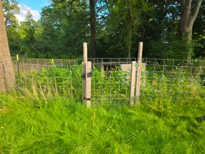 Hog panels and t posts, View more