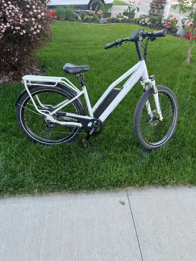 Medium/ large 2021 Rook E-bike for sale. Bike has under 1000 km and well maintained. Rook features i...