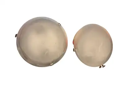 Flush Mount Ceiling Lights – Dual Bulb Holders, Froste, View more