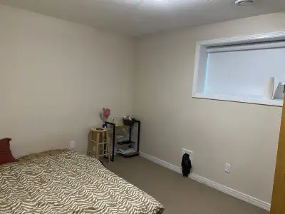one room available in basement for rent