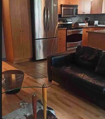 Chambre à louer. Bel appartement propre. Centre-ville de Montréal. Quartier calme et propre. Laveuse...
