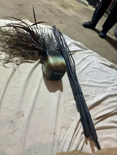 Fake Plant And Decorative Sticks, View more