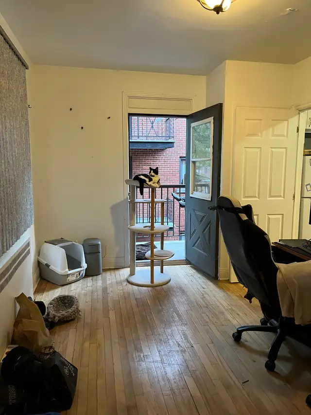 Spacieux 4 et 1/2, Snowdon, DECEMBRE in Long Term Rentals in City of Montréal - Image 6