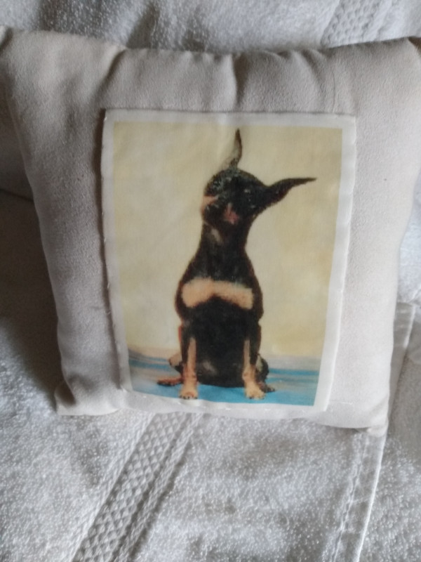 Miniature Pinscher pillow in Arts & Collectibles in City of Toronto
