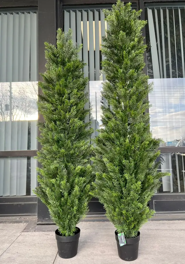 Lush Green Boxwood Trees: Durable & UV-Protected for Outdoor in Outdoor Décor in Mississauga / Peel Region - Image 3