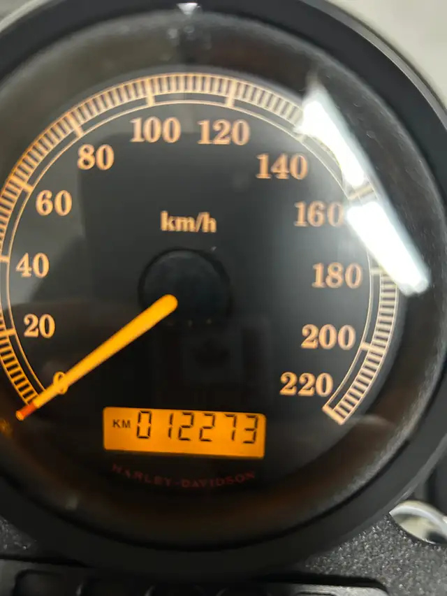 2007  Harley Davidson Sportster xl883 in Street, Cruisers & Choppers in Kelowna - Image 8