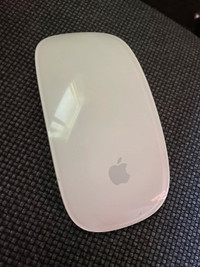 Apple Magic Mouse 