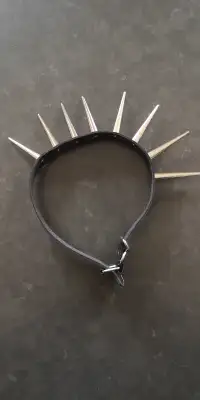 Spiked collar