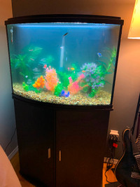 Fishtank and stand