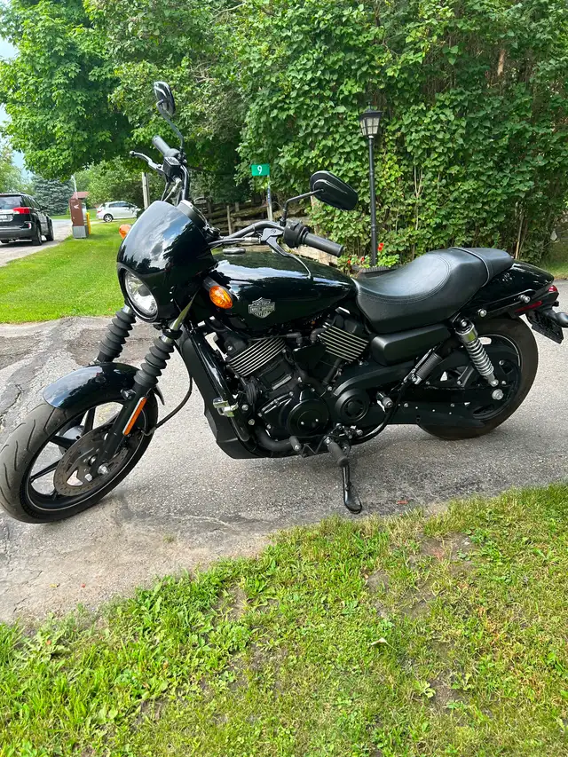 2015 Harley Davidson Street in Street, Cruisers & Choppers in Oshawa / Durham Region - Image 2