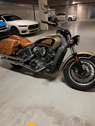 Beautiful bike with stage 1 upgrades. Lots of brand new Indian accessories including a quick release...