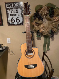 Beaver Creek 12 String Travel Size guitar with bag