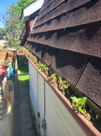 Eavestrough / Gutter & Downspout Cleaning & Repairs