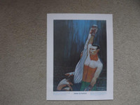 FS: 1972 The Prudential Collection Jimmy McLarnin Print