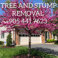 Stump grinding, tree cutting service, removal disposal.