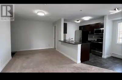 2 bedroom renovated apartment for rent