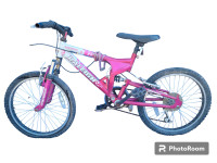 Raleigh Sensor Shimano equipped girl's bike