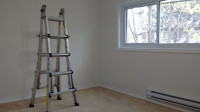 Professional Painter :Quality Work and Good Prices.
