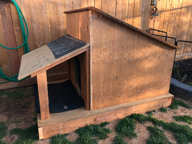 Large Insulated Dog House for sale in Accessories in Strathcona County - Image 3